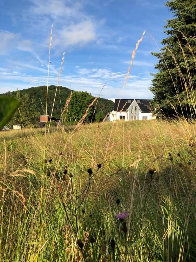 Apartment Montabaur ハイリゲンロート エクステリア 写真